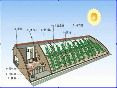 生态种植模式及配套技术图标
