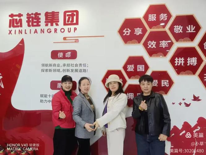 芯链集团董事长是谁游戏截图