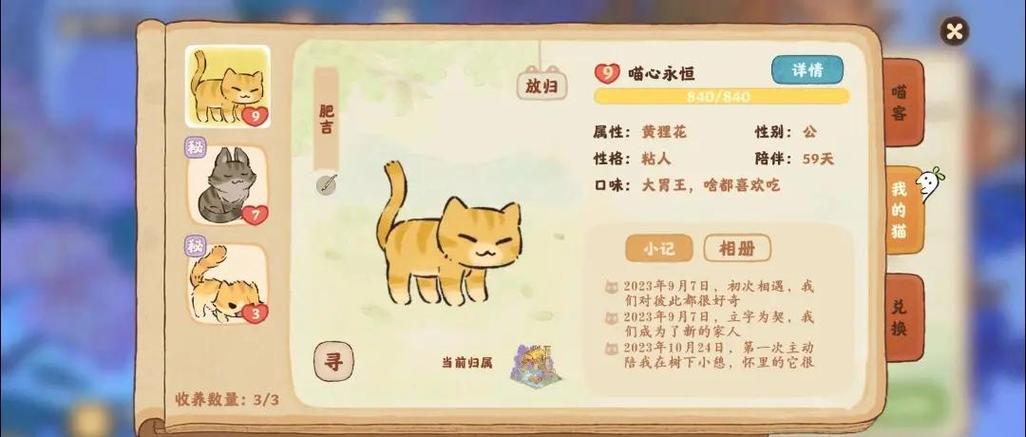 开心猫舍攻略