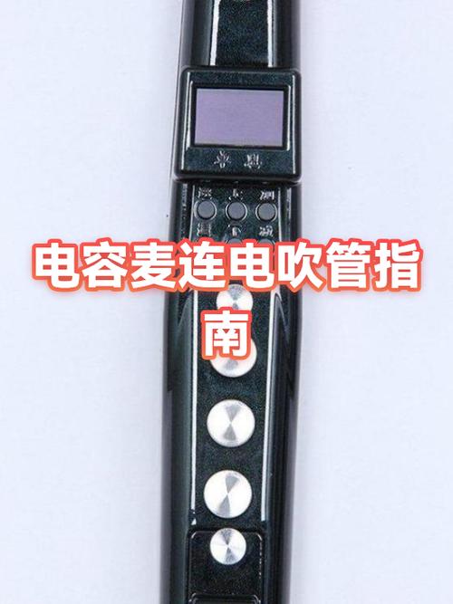 什么是电容麦克风图标