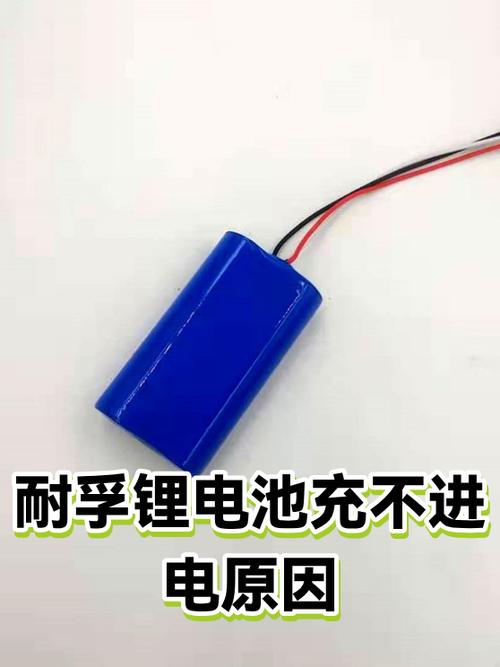锂电池温度低充不进电游戏截图