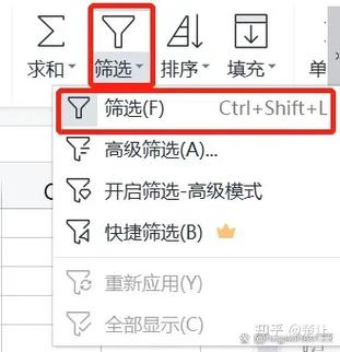 wps表格筛选怎么显示数量图标
