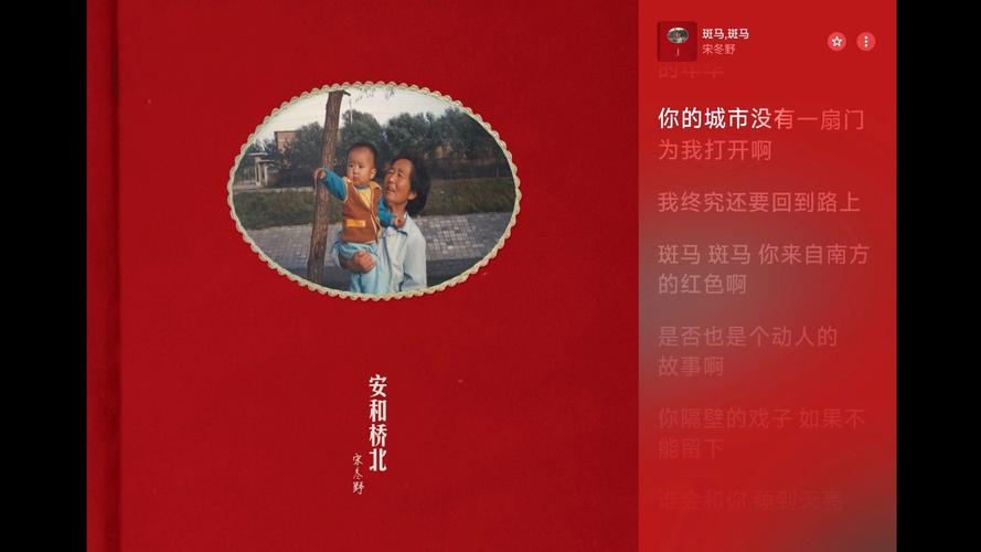 斑马斑马宋冬野下载缩略图