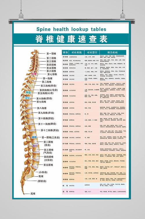 肛门有肉翻出来怎么办游戏截图