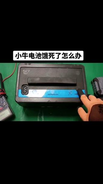 小牛亮绿灯充不进去电