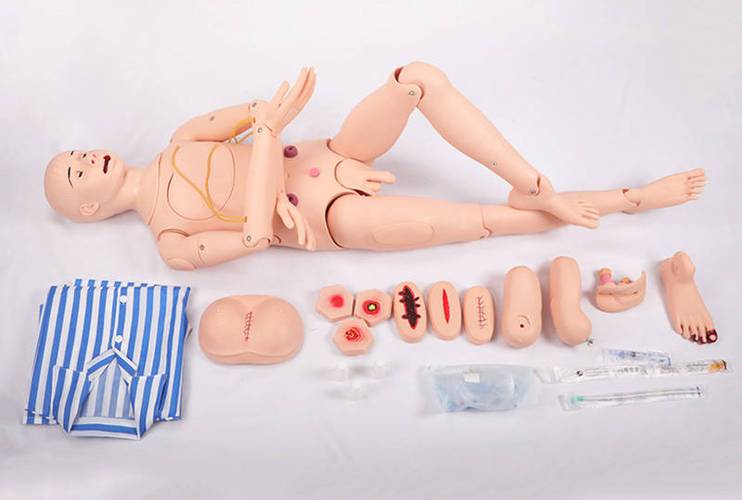 女性模型仿真模型图标