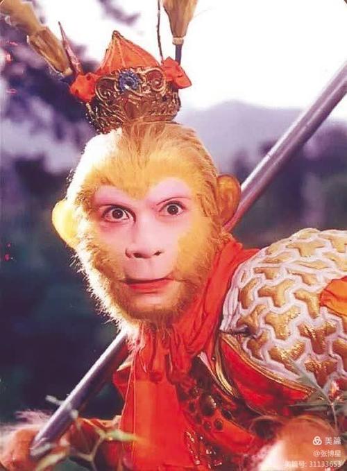 至尊宝齐天大圣的段子