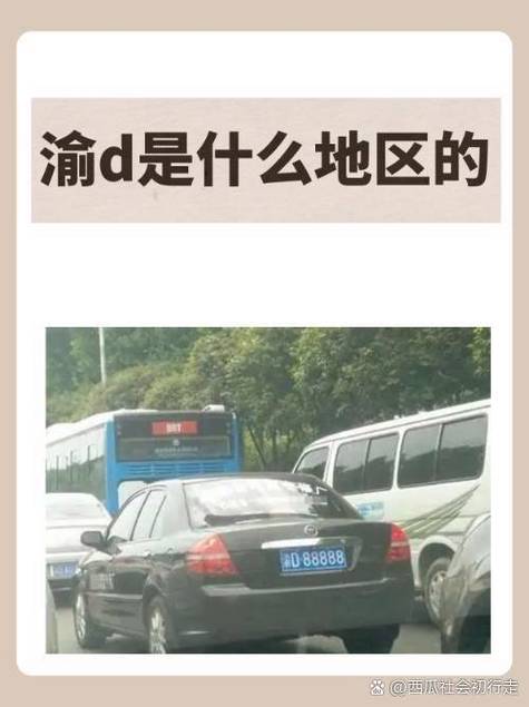 台d是什么意思缩略图