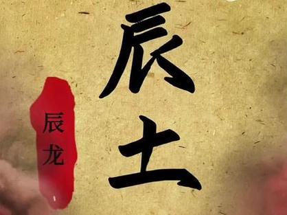 叫辰的男人命运