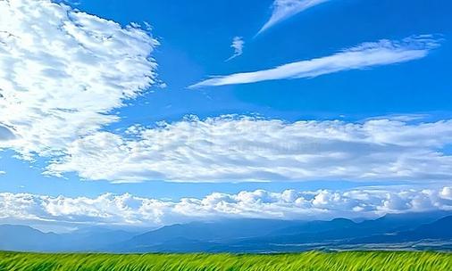 晴天视频缩略图