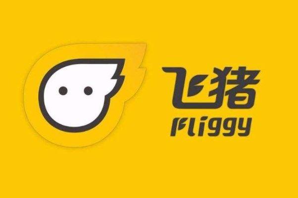 上海飞猪网络科技有限公司