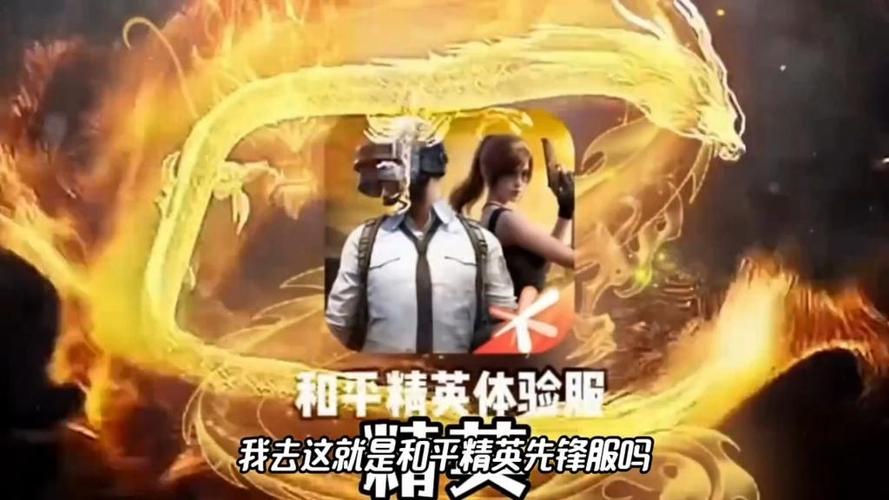 和平精英(先锋服)缩略图