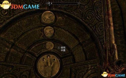 黄金龙爪任务奖励内容