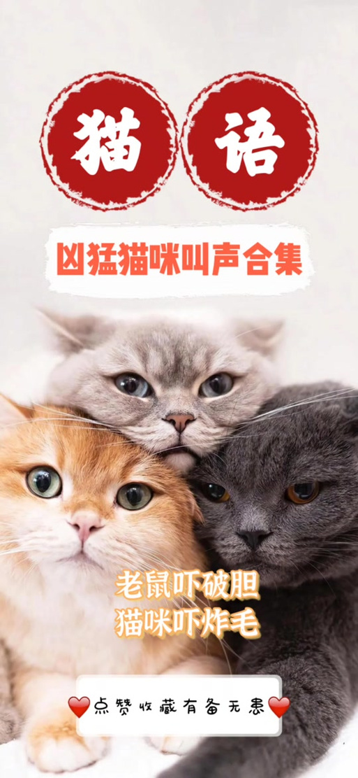 猫叫声吓老鼠专用原声缩略图