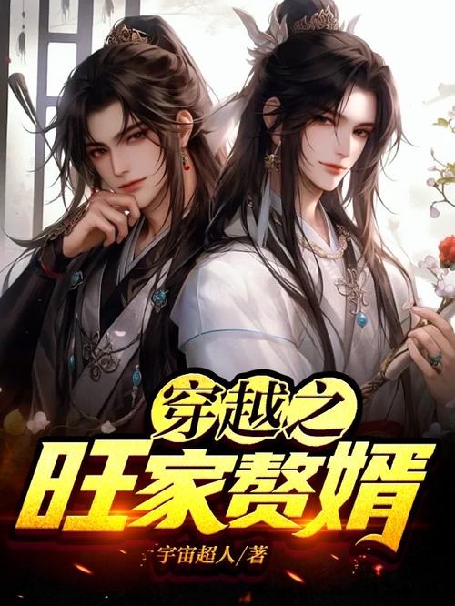 穿越之家有赘婿txt网盘图标