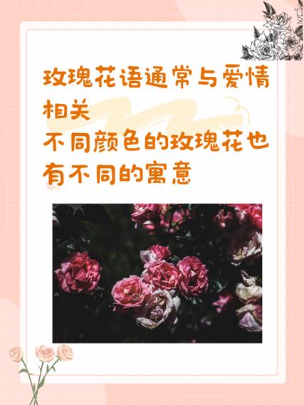 红玫瑰花语缩略图