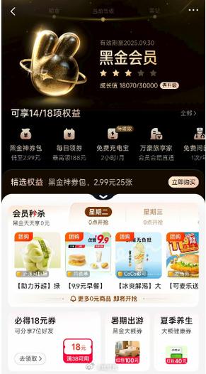 美团黑金会员收费吗缩略图
