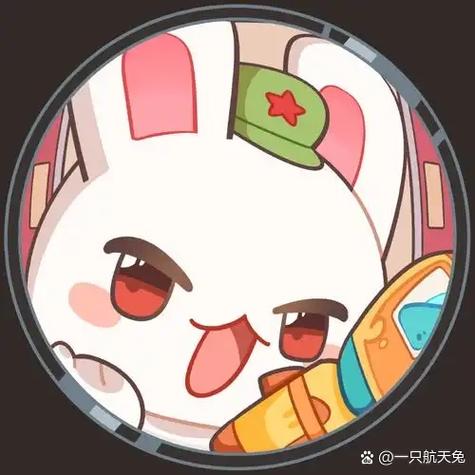 那年那兔那些事解释