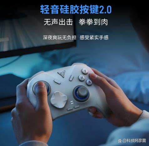 xbox连接ns手柄游戏截图