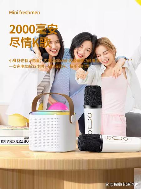 家庭ktv麦克风配得到吗游戏截图