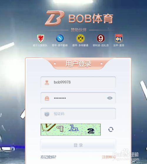 bob体体育综合app下载图标