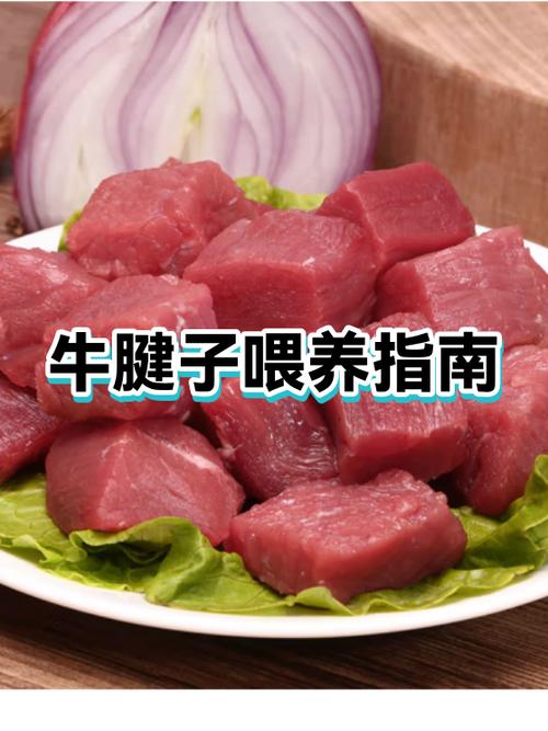 买牛腱子肉的大忌图标