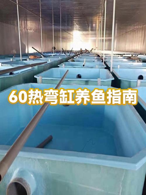 海缸只养鱼的配置