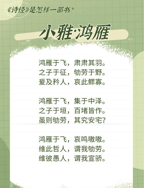 鸿雁小说图标