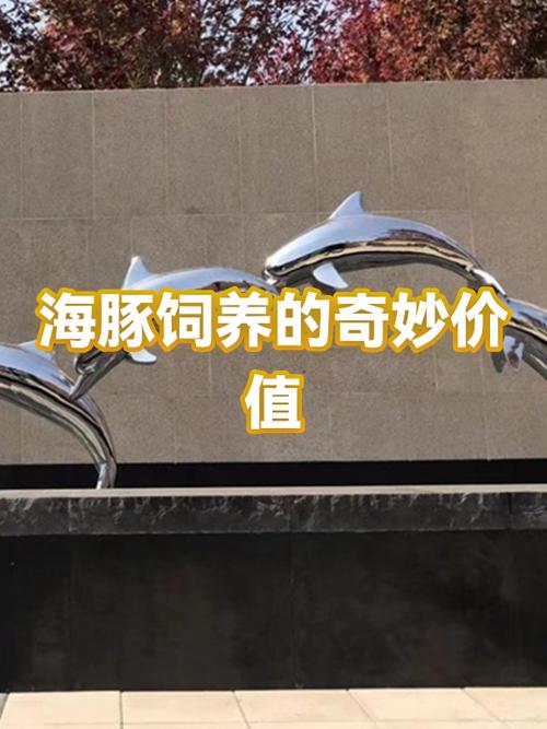 怎么能养海豚