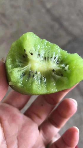 齐齐果业缩略图