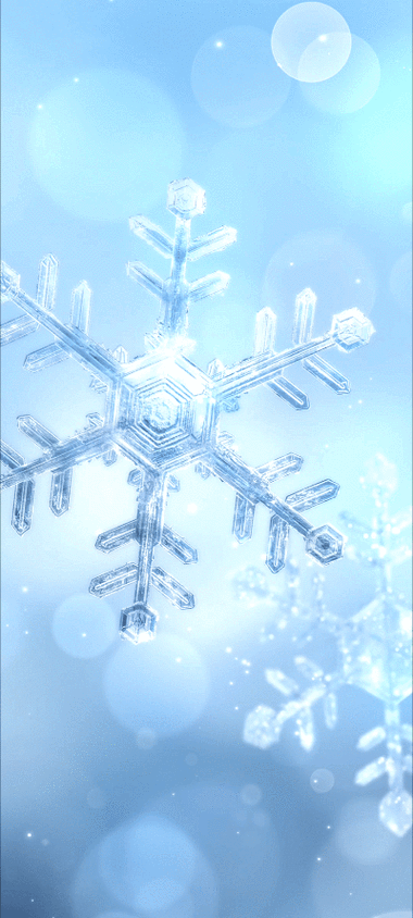 雪花网动态
