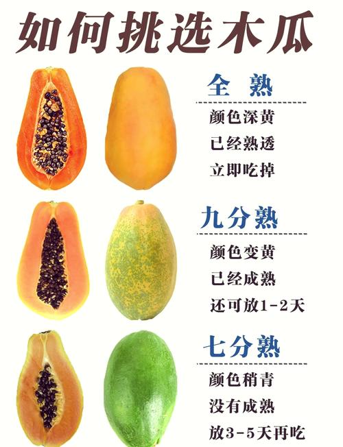 木瓜产地哪里最好