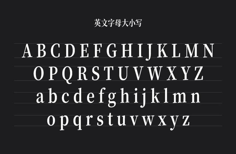 宋体字体下载图标