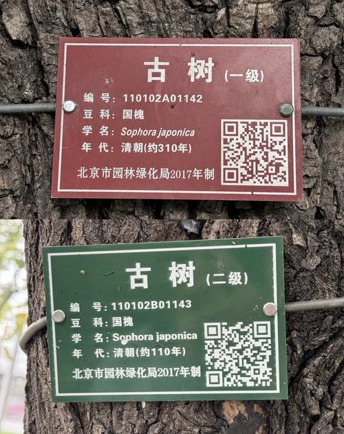 tagtree改名后叫什么缩略图