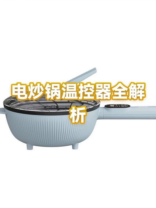 电炒锅的温控器在哪游戏截图