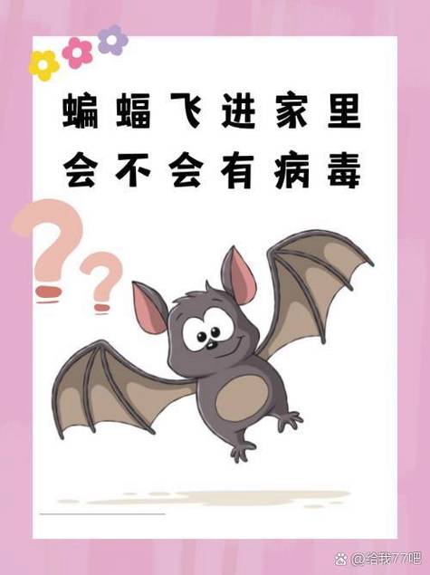 飞什么病毒缩略图