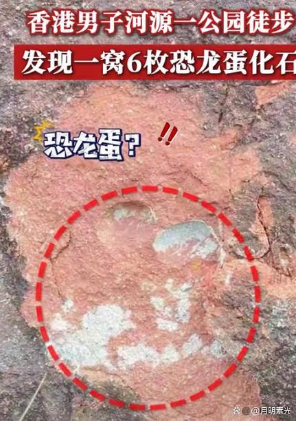 恐龙蛋一个多少钱图标
