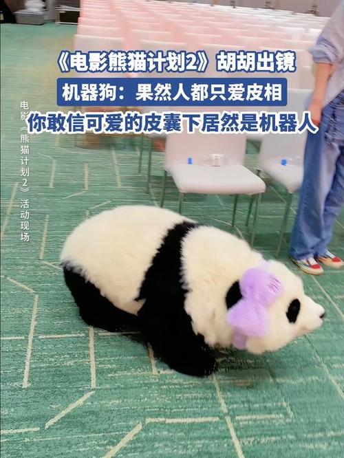 胡胡影视游戏截图