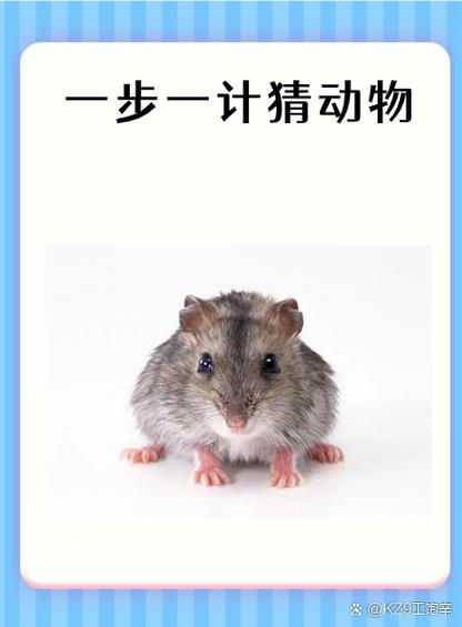 用人脸识别还是指纹识别耗电