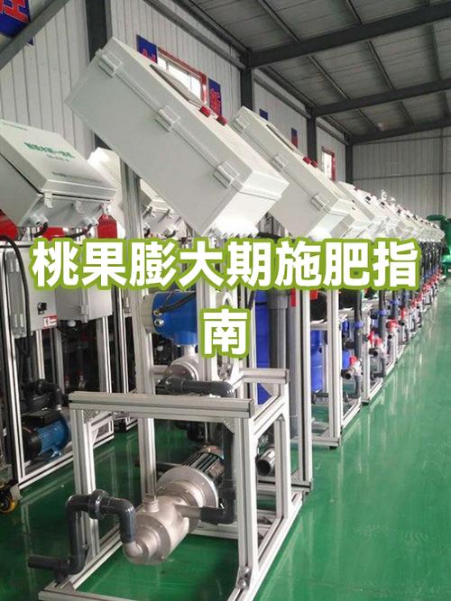 桃树膨果肥最佳时间缩略图