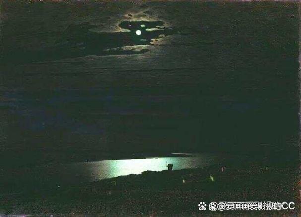 月夜电影缩略图