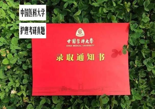 专科考研可以报的学校有哪些图标