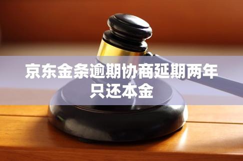 京东金条逾期可以协商延期还款吗游戏截图