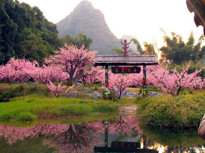 桃源桃花源游戏截图