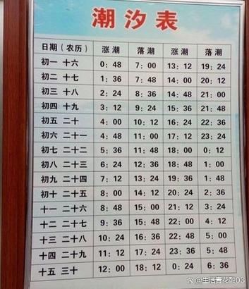 大海的潮汐时间图标