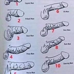 男人一般多长时间算是正常的游戏截图