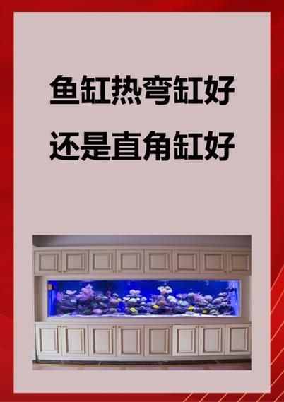 圆角鱼缸好还是直角鱼缸好缩略图