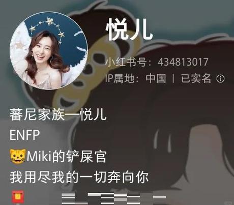 小伶至尊美化包免费版缩略图