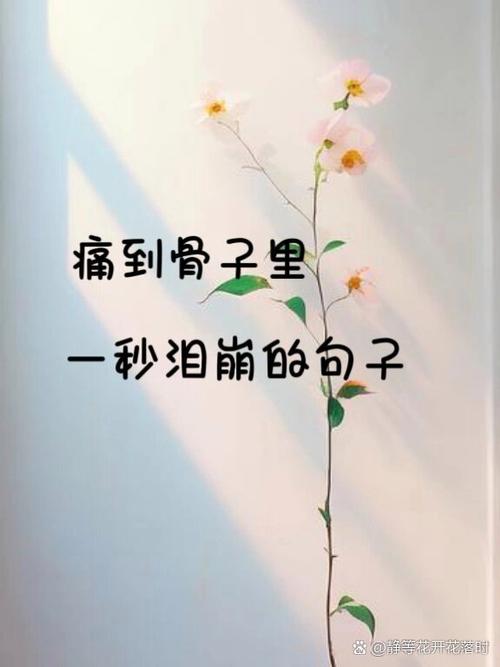 感情语录心痛的句子缩略图