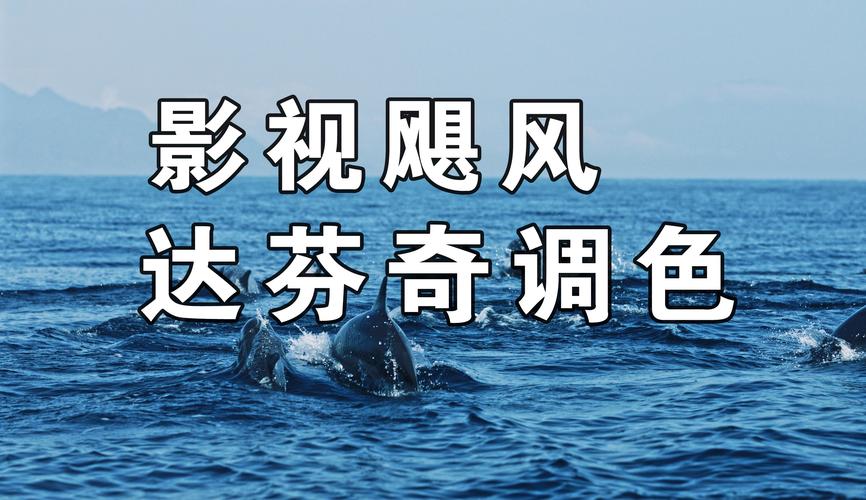 飓风BT官网